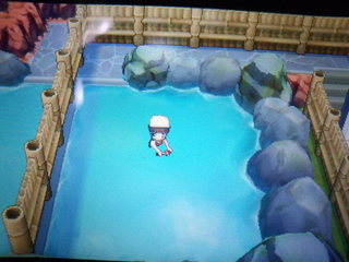Illustration for article titled Bathing Grandmas Apparently Cut from Pokémon ORAS